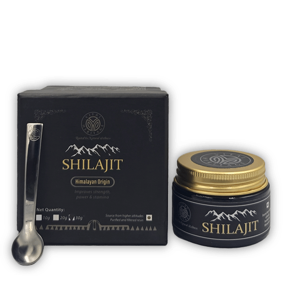 Vital Heritage Featured Home 2 4